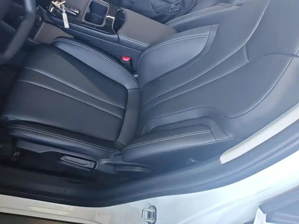 Фото 15 - Dongfeng Aeolus SKY EV01
