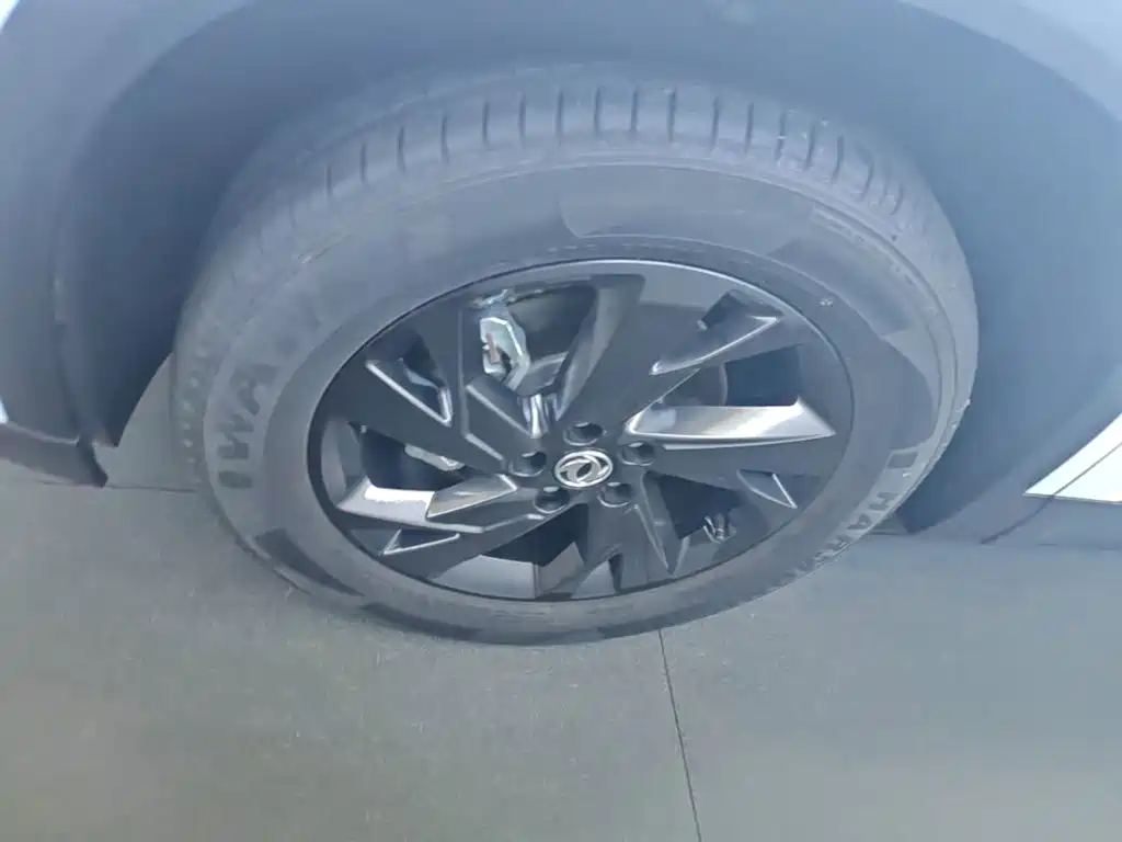 Dongfeng Aeolus SKY EV01 2026 2024 530km PRO Elite Edition