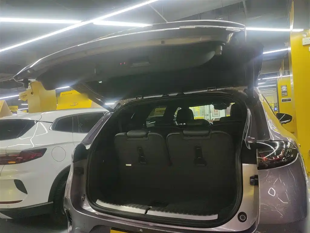 Denza X 2020 Model PHEV Flagship Edition фото 15