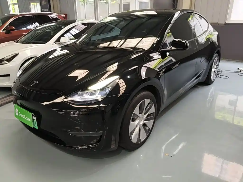  Tesla Model Y 2021 Standard Range Rear-Wheel Drive