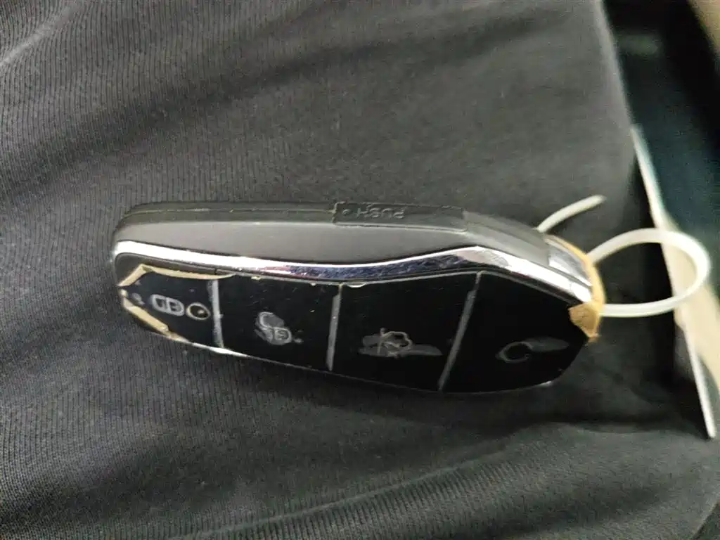 BYD Qin L 2024 DM-i 80KM Leading Edition фото 9