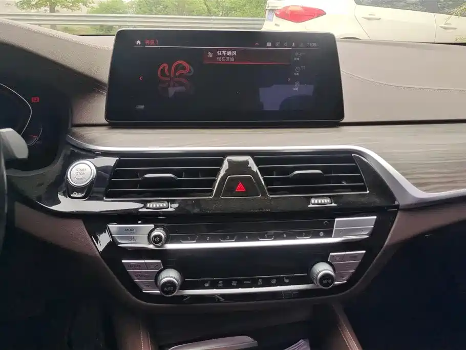 BMW 5 Series 2020 530Li Leading M Sport Package фото 13