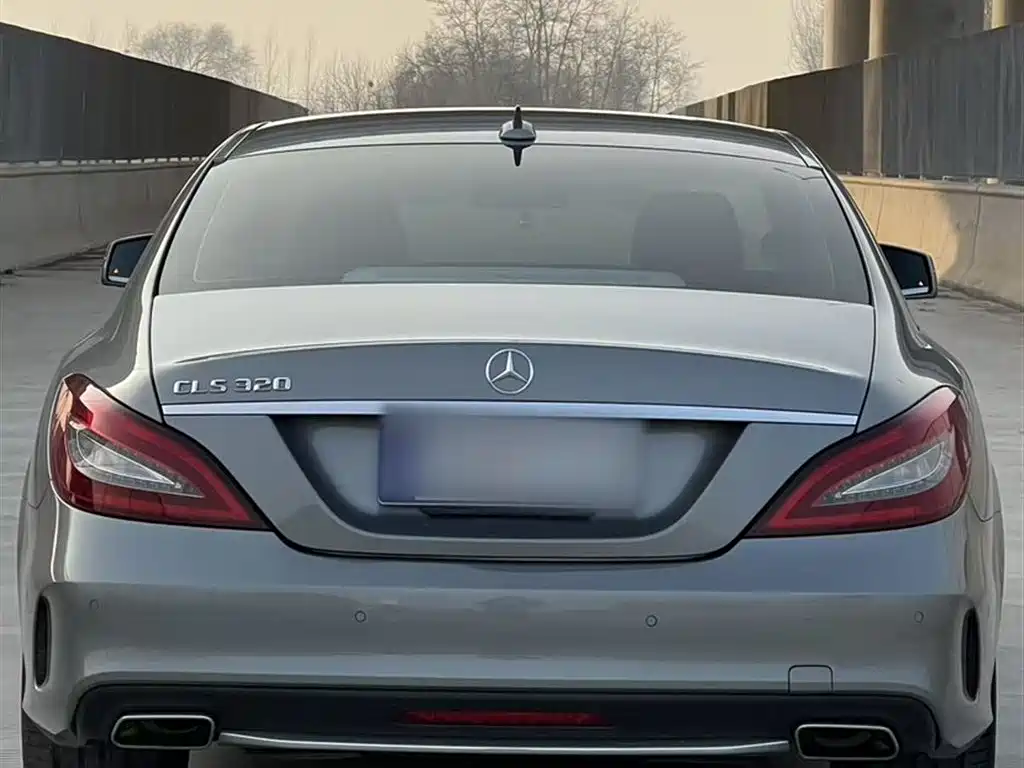 Mercedes-Benz CLS 2015 CLS 320 фото 15