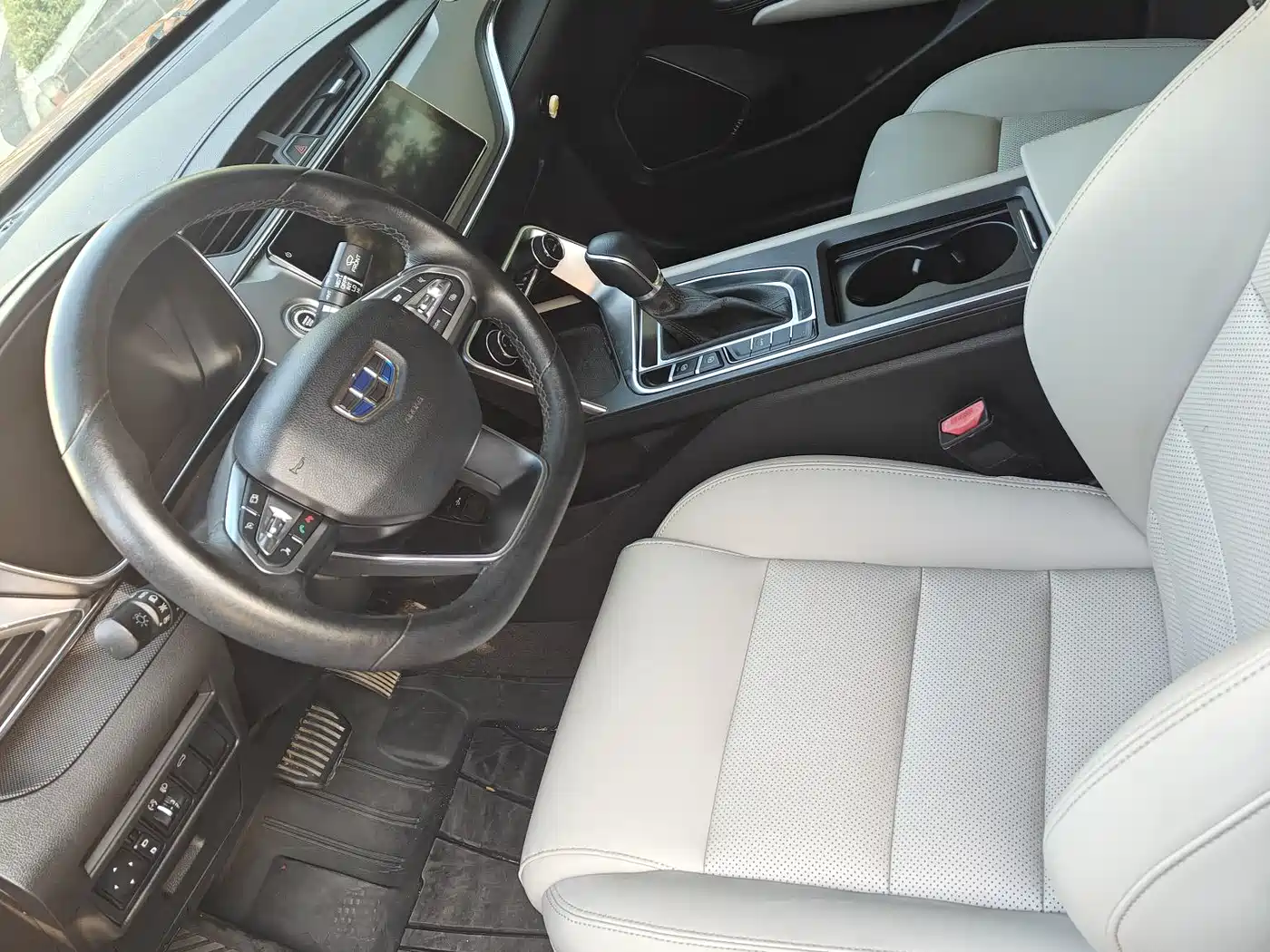 Фото 6 - Geely Binrui