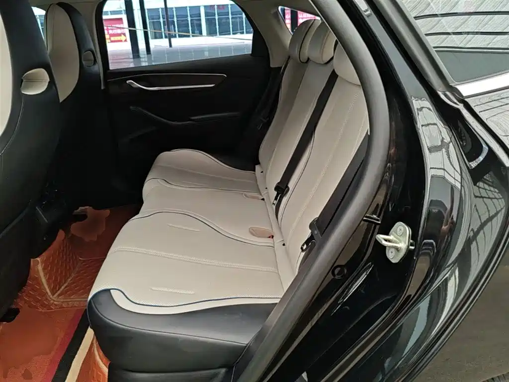 BYD Destroyer 05 2024 Glory Edition DM-i 55KM Luxury фото 17
