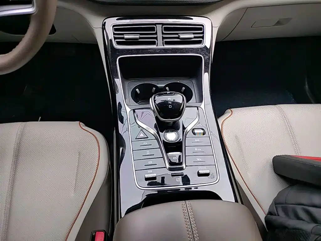 BYD Qin PLUS 2024 Glory Edition EV 420KM Leading фото 14