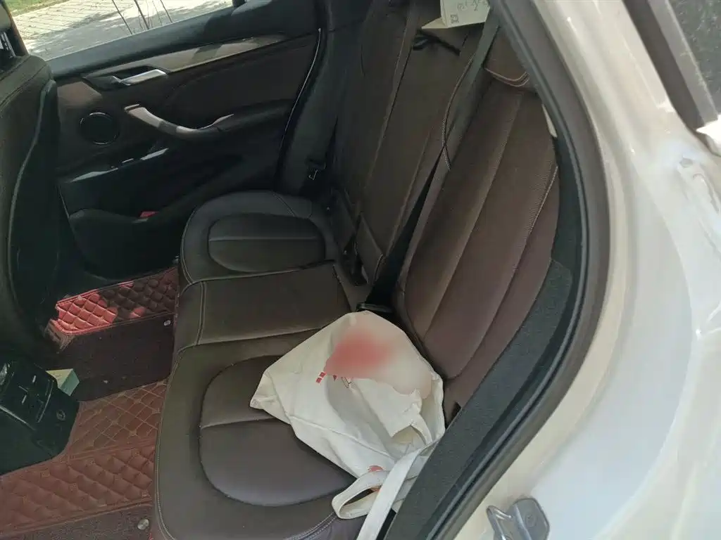 BMW X1 2016 sDrive20Li Luxury Model фото 15