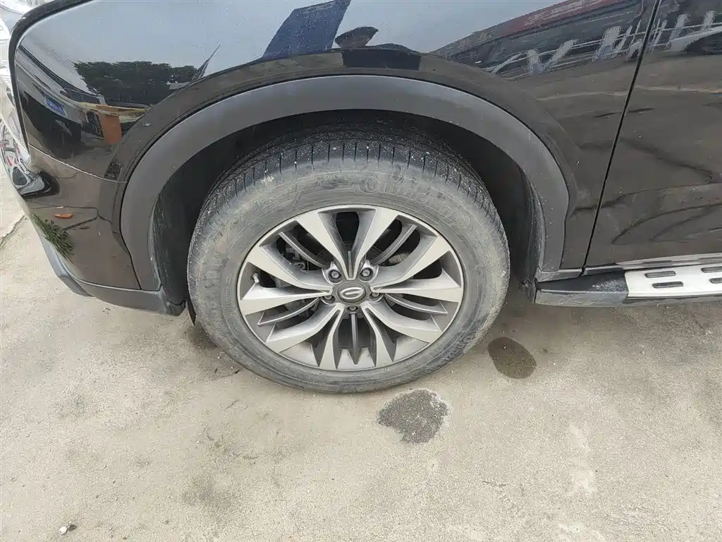 GAC Trumpchi Trumpchi GS8 2017 320T 2WD Luxury Smart Connect (7-seater) фото 24