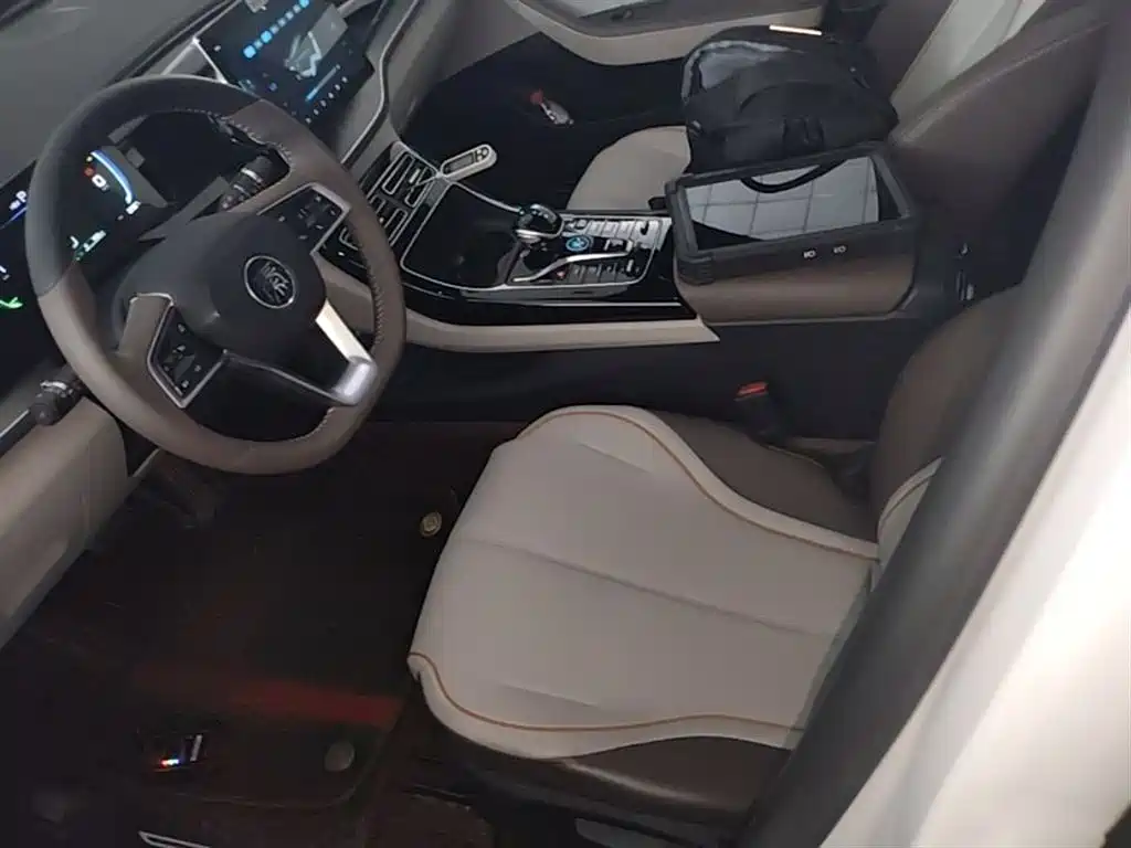 BYD Qin PLUS 2023 Champion Edition DM-i 120KM Leading Type фото 15