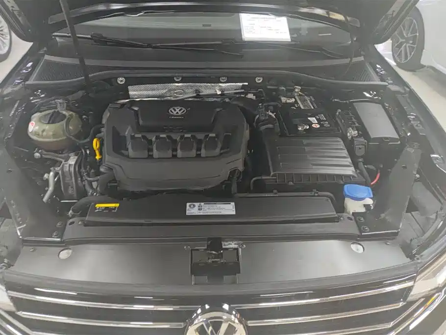 Volkswagen Magotan 2020 330TSI DSG Luxury фото 10