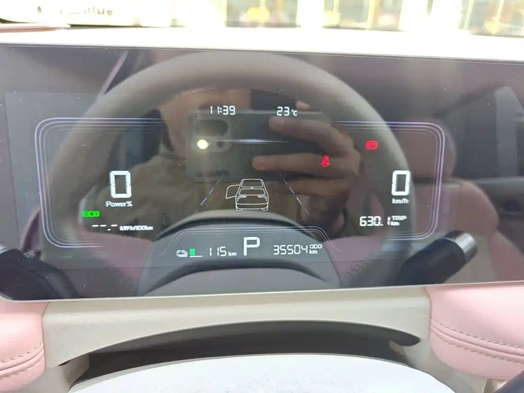 Geely Geometry E Firefly 2024 2024 Model 301km Starlight