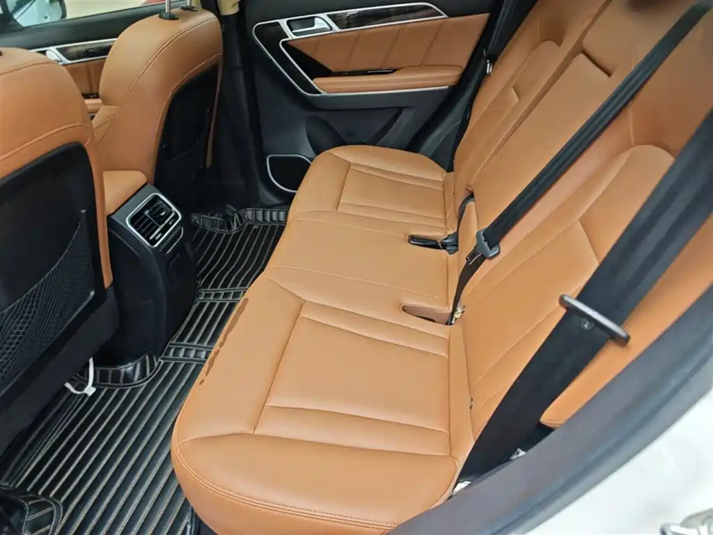 Haval H6 Coupe 2016 Blue Label 1.5T Automatic 2WD Elite фото 17