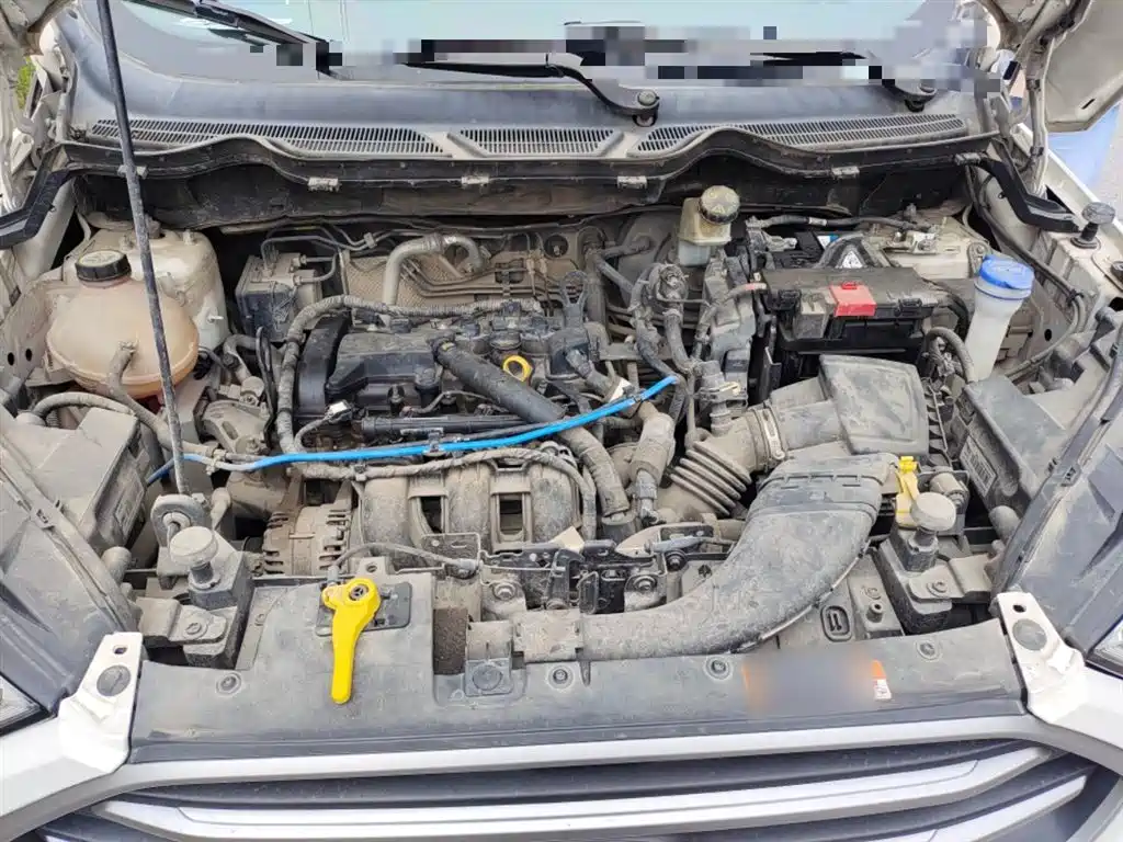 Ford EcoSport 2018 2018 1.5L Automatic Platinum Wing