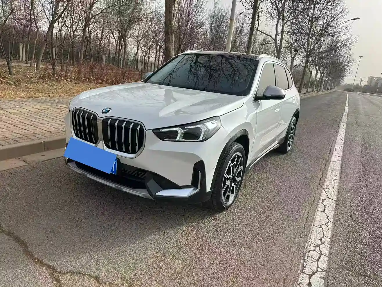 BMW X1 2024 sDrive25Li X Design Package