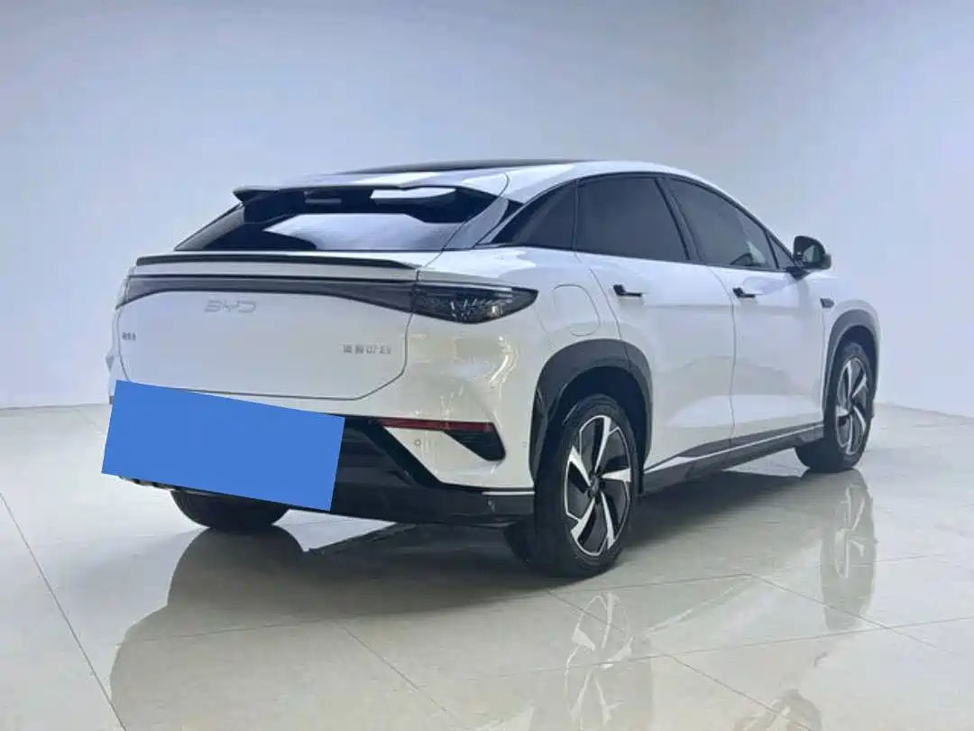 BYD Sealion 07 EV 2024 610 Long Range Edition фото 7