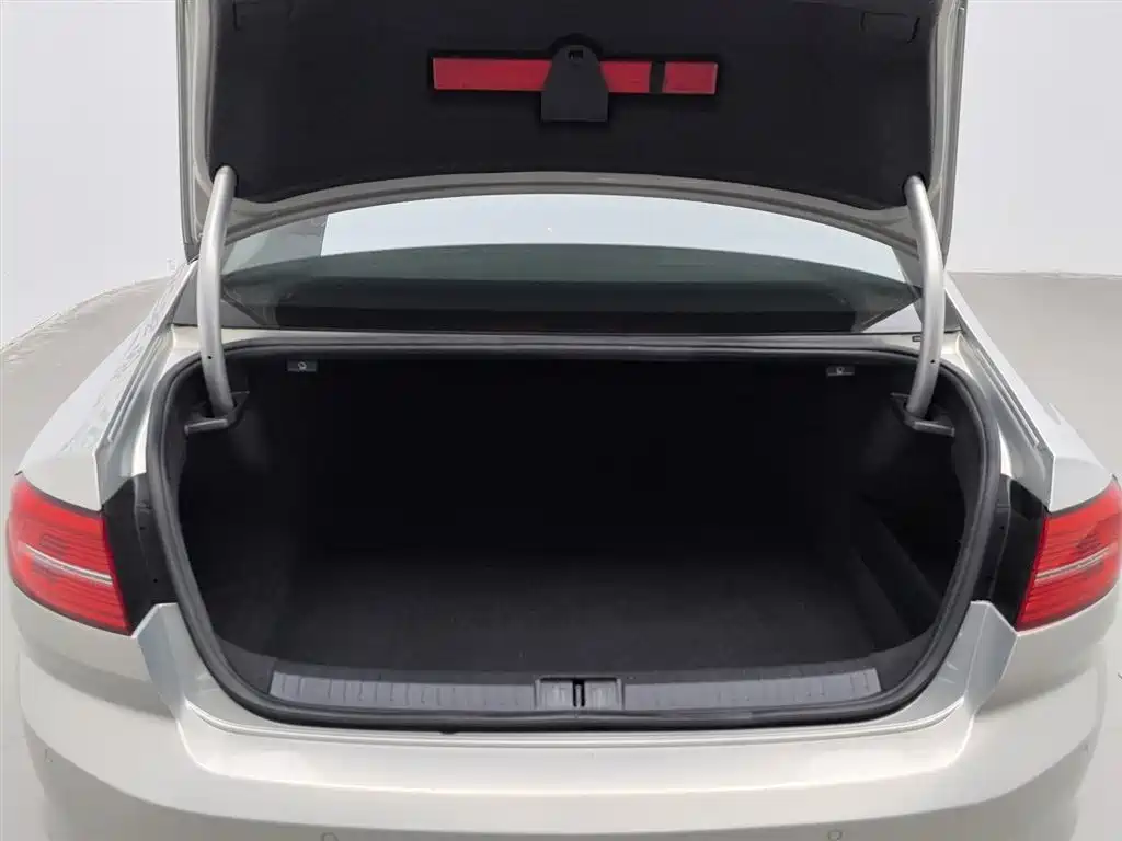 Volkswagen Magotan 2019 330TSI DSG Luxury Class China VI фото 16