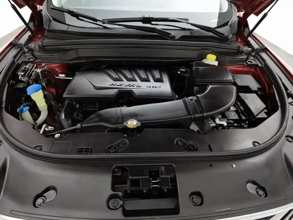 Haval H4 2019 2018 Red Label 1.5GDIT DCT Trend Edition