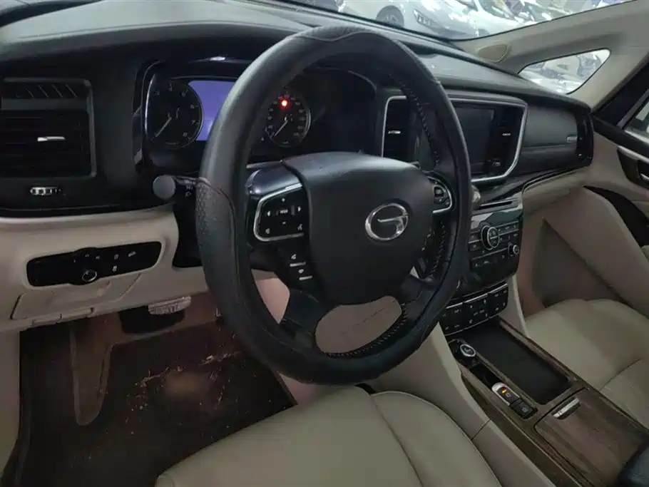 GAC Trumpchi Trumpchi M8 2018 320T Exclusive Edition фото 12