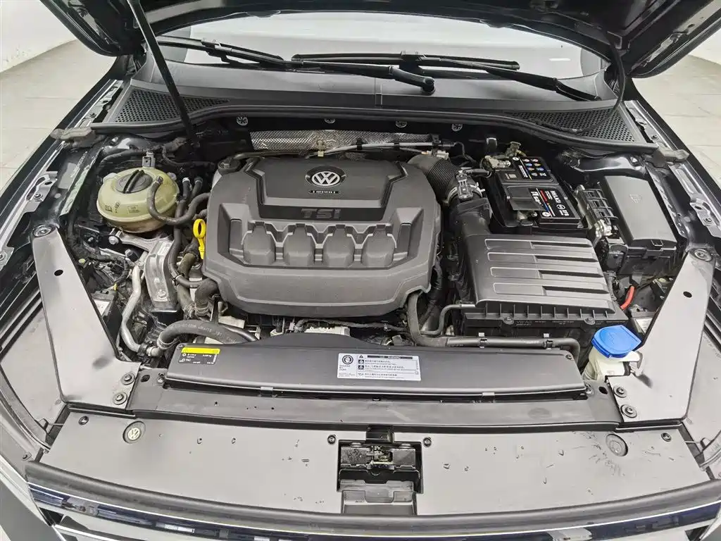 Volkswagen Magotan 2019 330TSI DSG Luxury China V фото 6