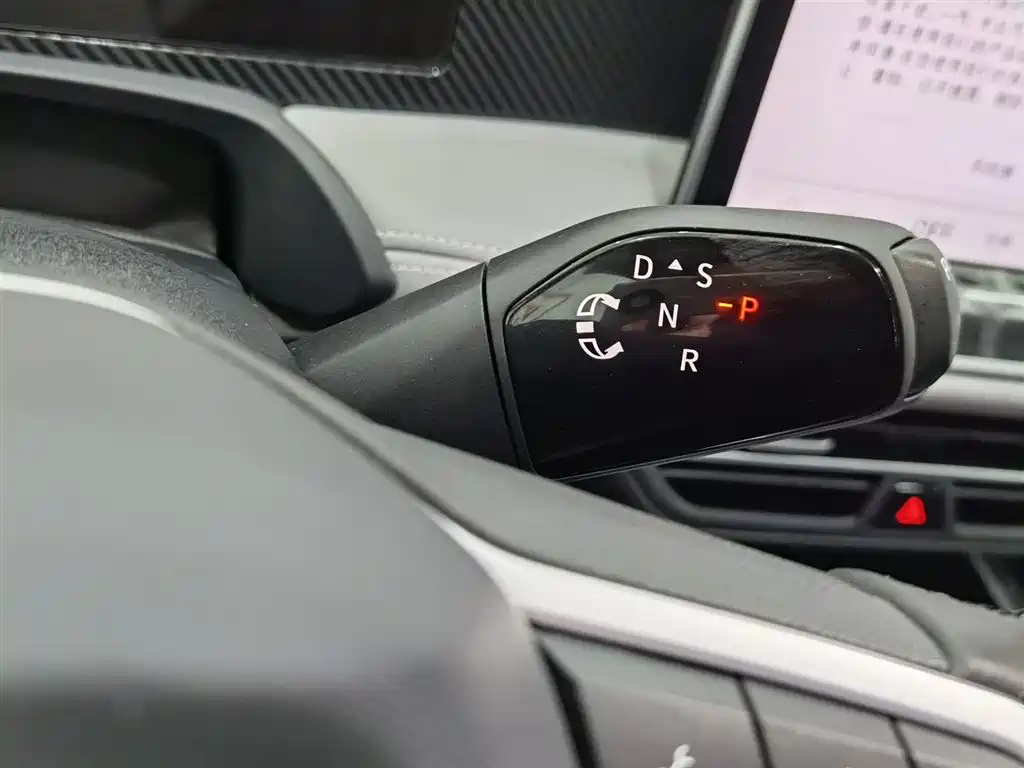Volkswagen Magotan 2024 300TSI DSG Premium Edition фото 13