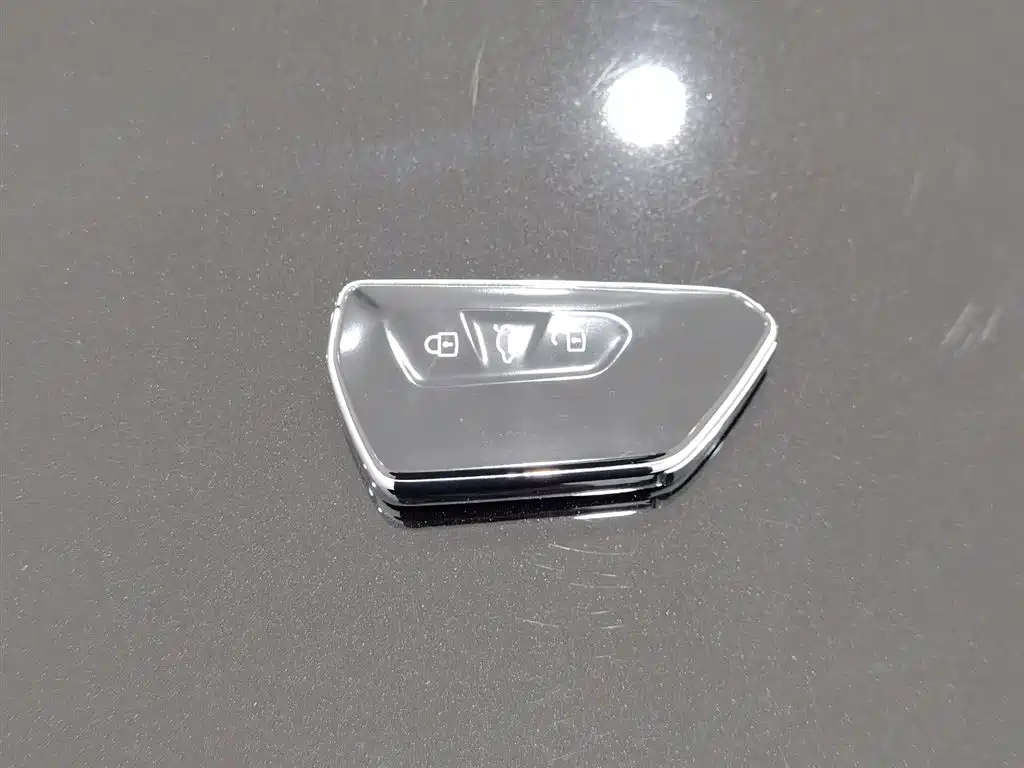Volkswagen Magotan 2024 300TSI DSG Premium Edition фото 19