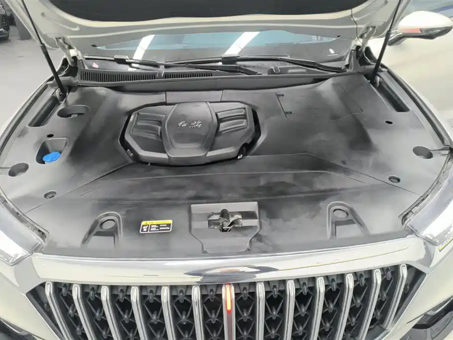 Hongqi HS5 2022 2.0T Smart Connection Flag Enjoy 4WD Shopping Edition фото 10