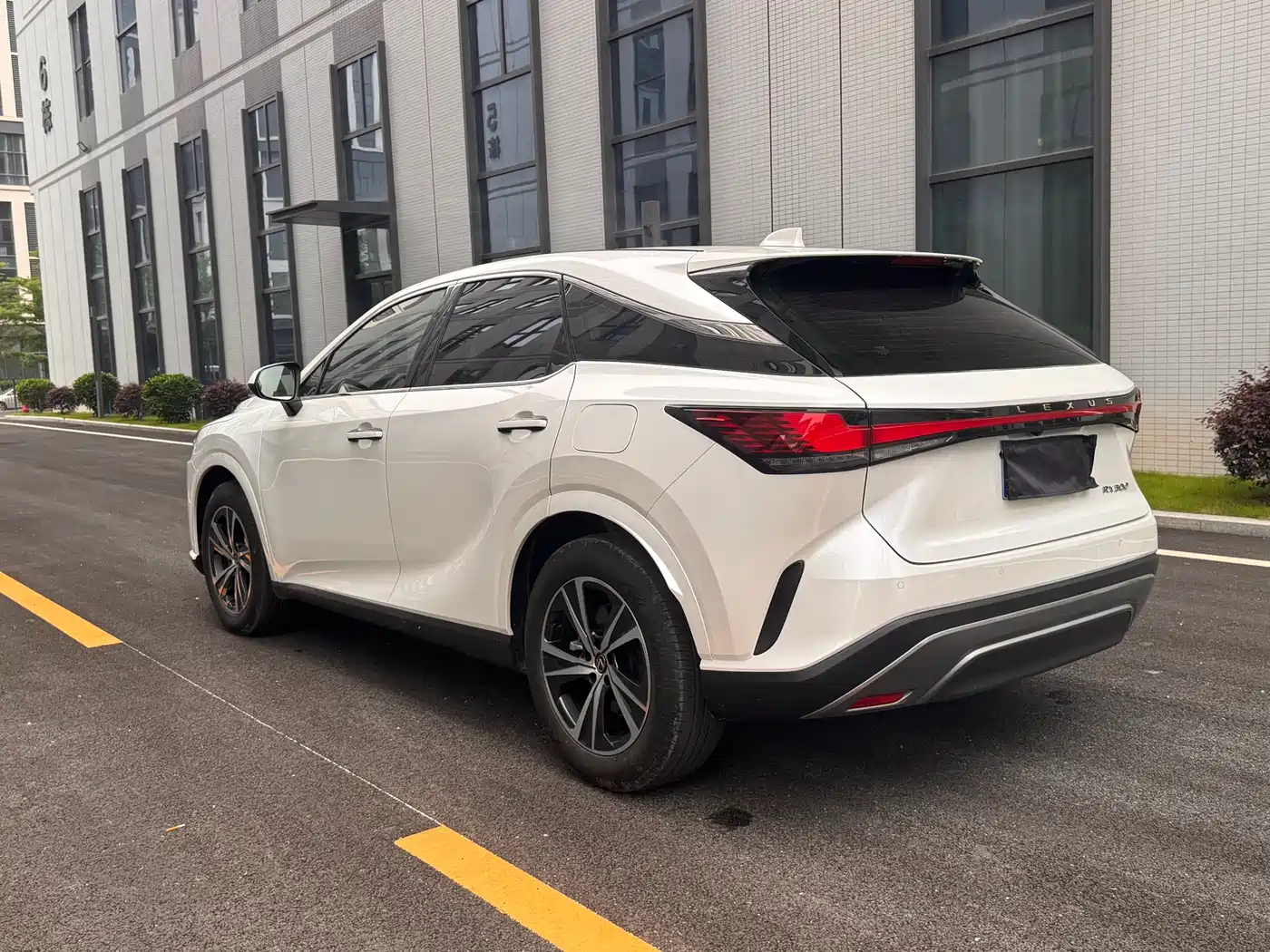 Lexus RX 2025 300 4WD Premium Edition фото 5