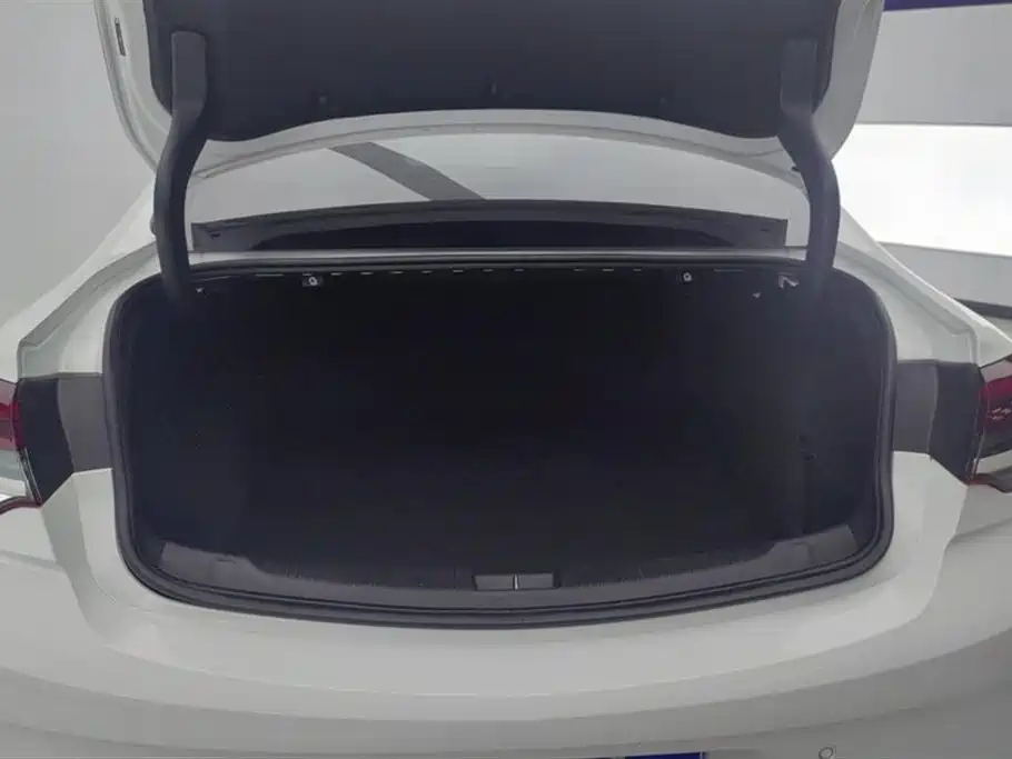 Buick Regal 2020 552T Luxury фото 4