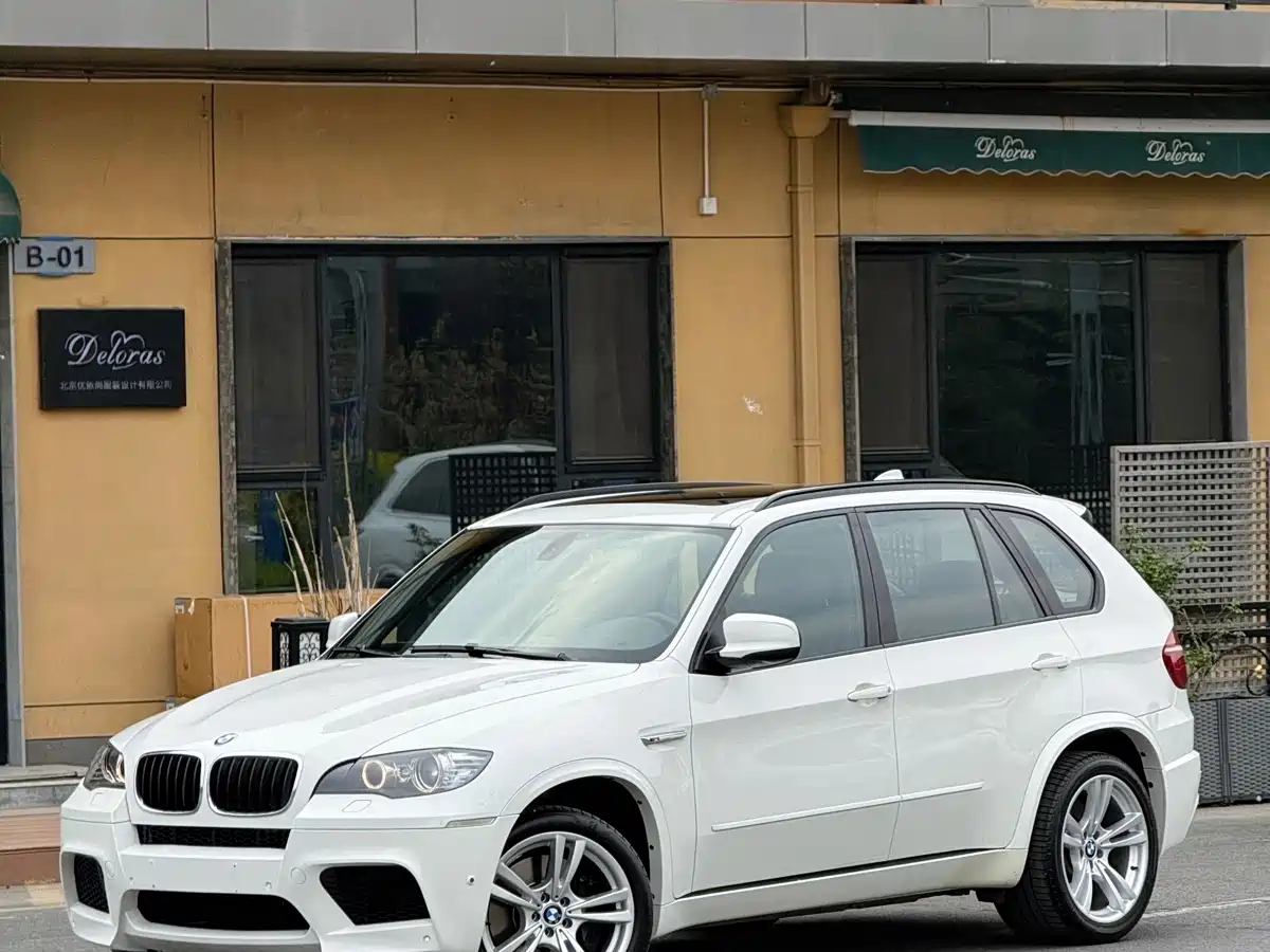 BMW X5 M 2010 X5 M
