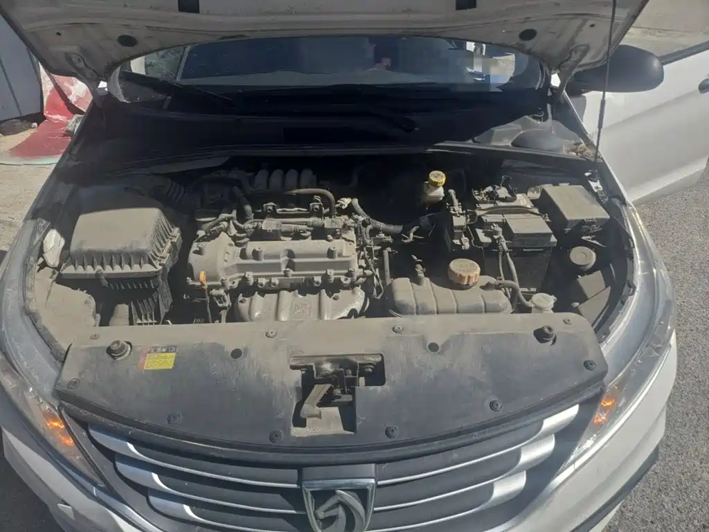 Фото 21 - Baojun 310W