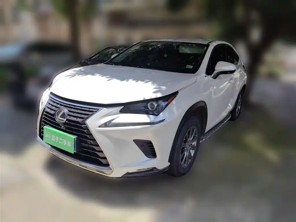 Lexus NX 2018 Model 300 FWD Fengxing Edition фото 2