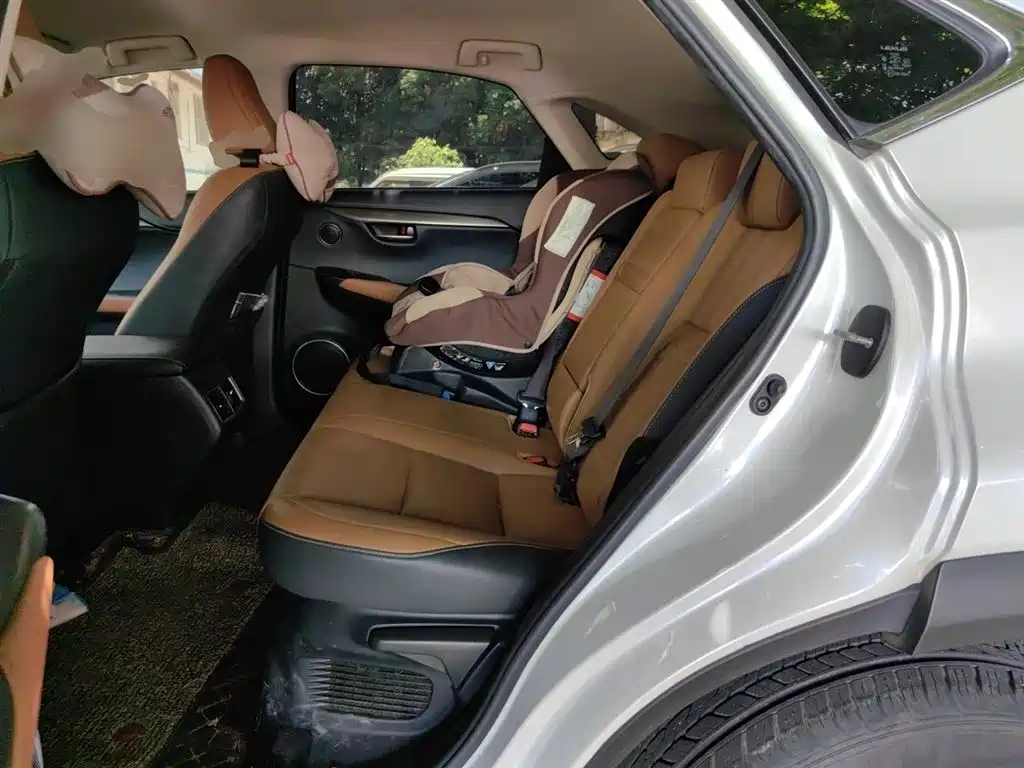 Lexus NX 2018 Model 300 FWD Fengxing Edition фото 14