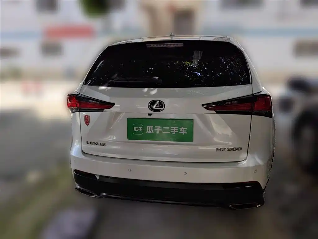 Lexus NX 2018 Model 300 FWD Fengxing Edition фото 4