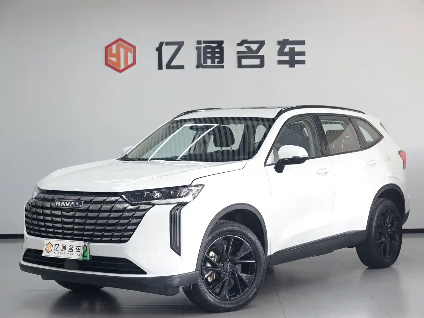 Haval H6 New Energy 2024 2023 DHT-PHEV 110KM Smooth Edition