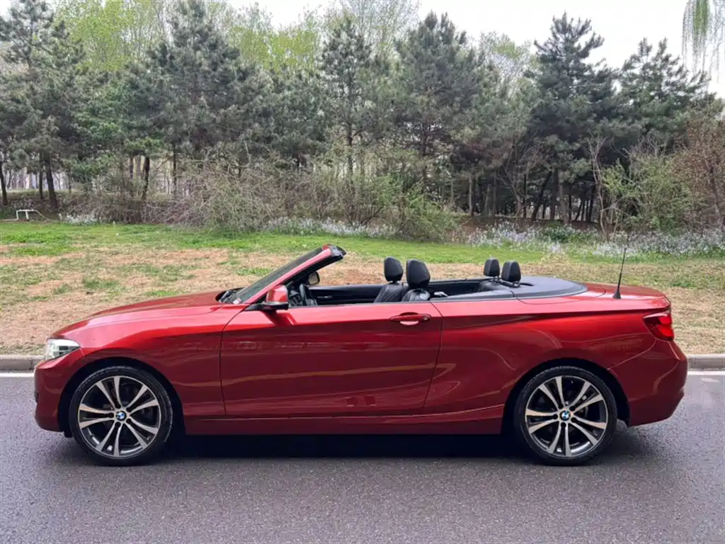 BMW 2 SERIES (IMPORTED)
