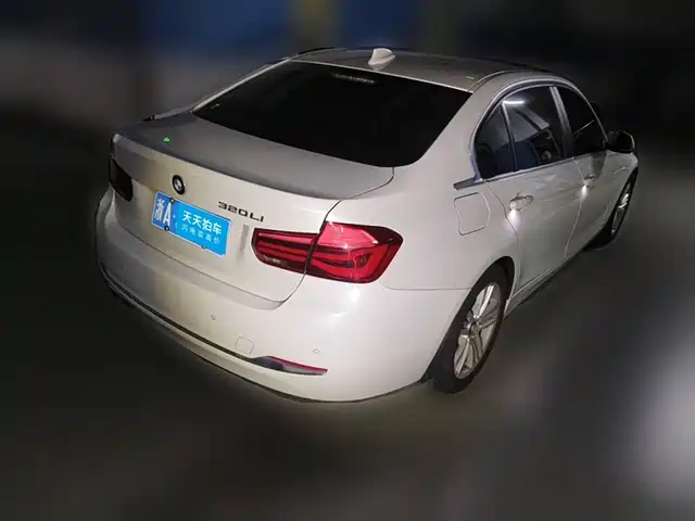 BMW 3 Series 2016 320Li Progressive — фото 2