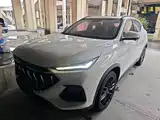 Фото 1 - Changan Oshan Changan Oushang X5
