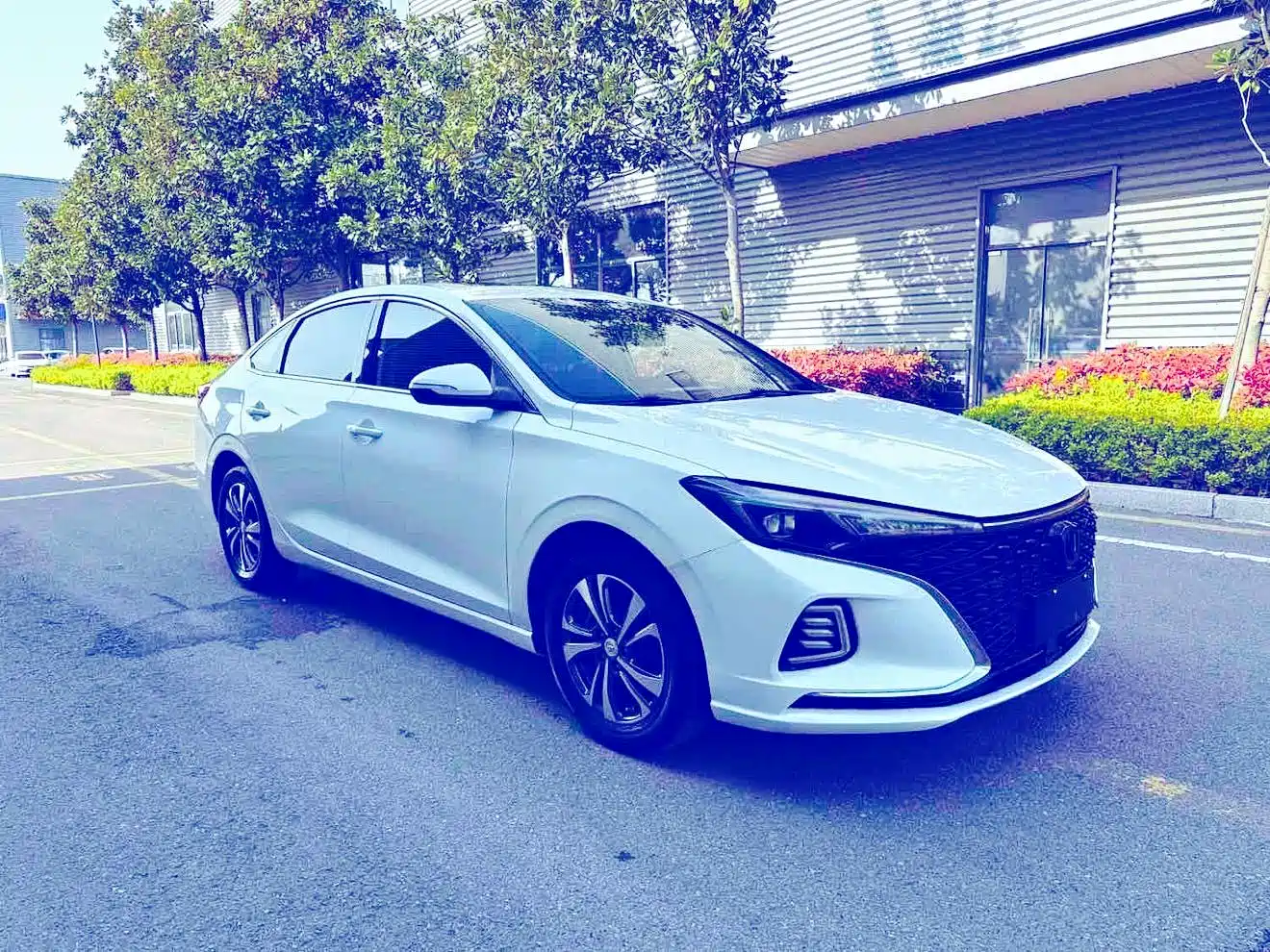Фото 3 - Changan Eado