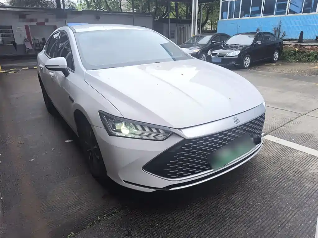 BYD Qin PLUS 2023 Champion Edition DM-i 55KM Leading фото 4