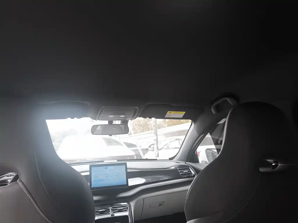 BYD Qin PLUS 2023 Champion Edition DM-i 55KM Leading фото 18