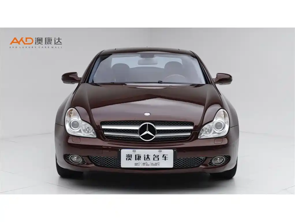 Mercedes-Benz CLS 2009 CLS 300 фото 2