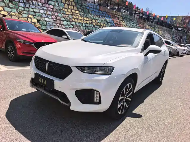 WEI PAI WEI BRAND VV7