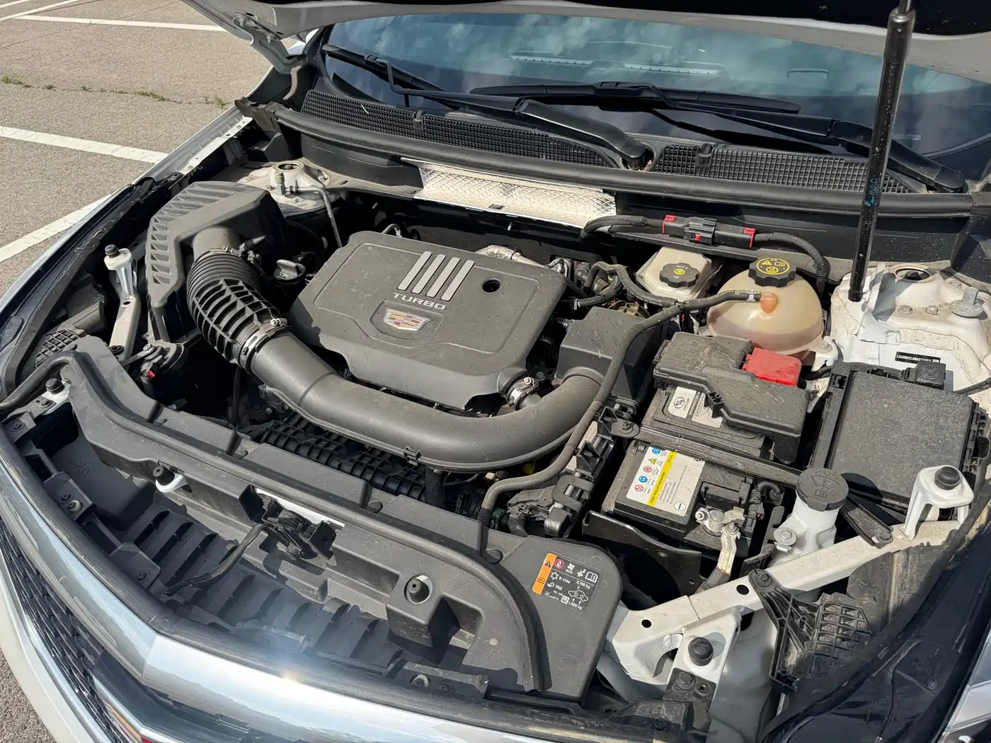 Cadillac XT5 2022 2.0T 2WD Luxury фото 19