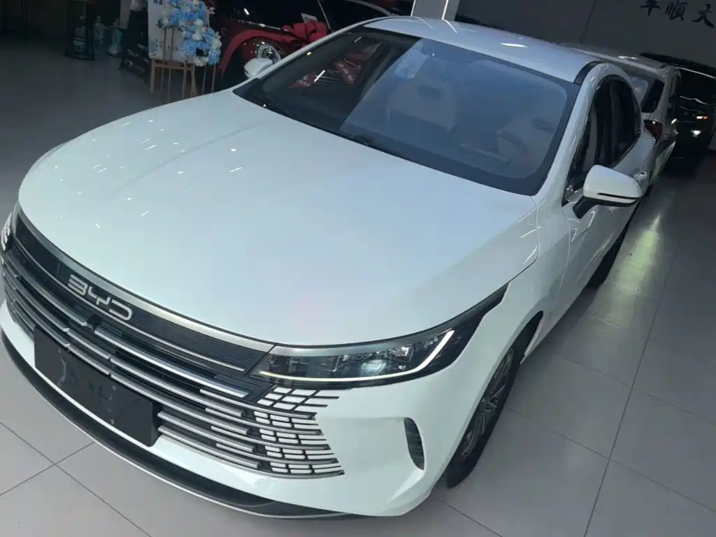 Фото 1 - BYD Destroyer 05