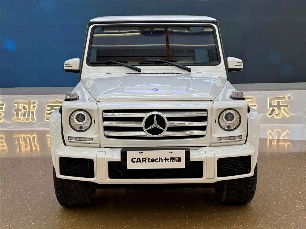 Mercedes-Benz G-Class 2016 G 500 фото 3