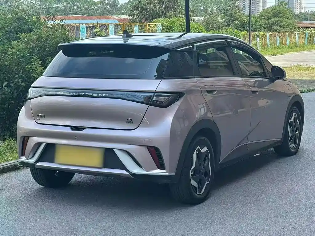 BYD Dolphin 2022 2021 Model 405km Fashion Edition
