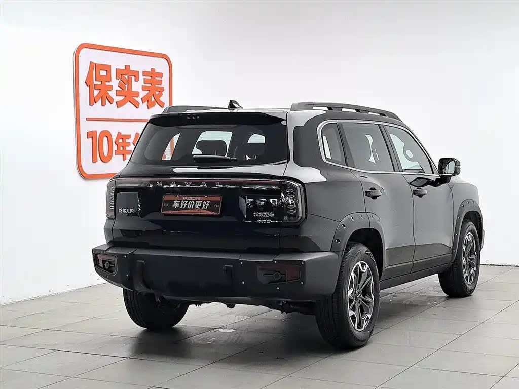 Haval Big Dog 2024 2.0T DCT Chinese Rural Dog Edition фото 2