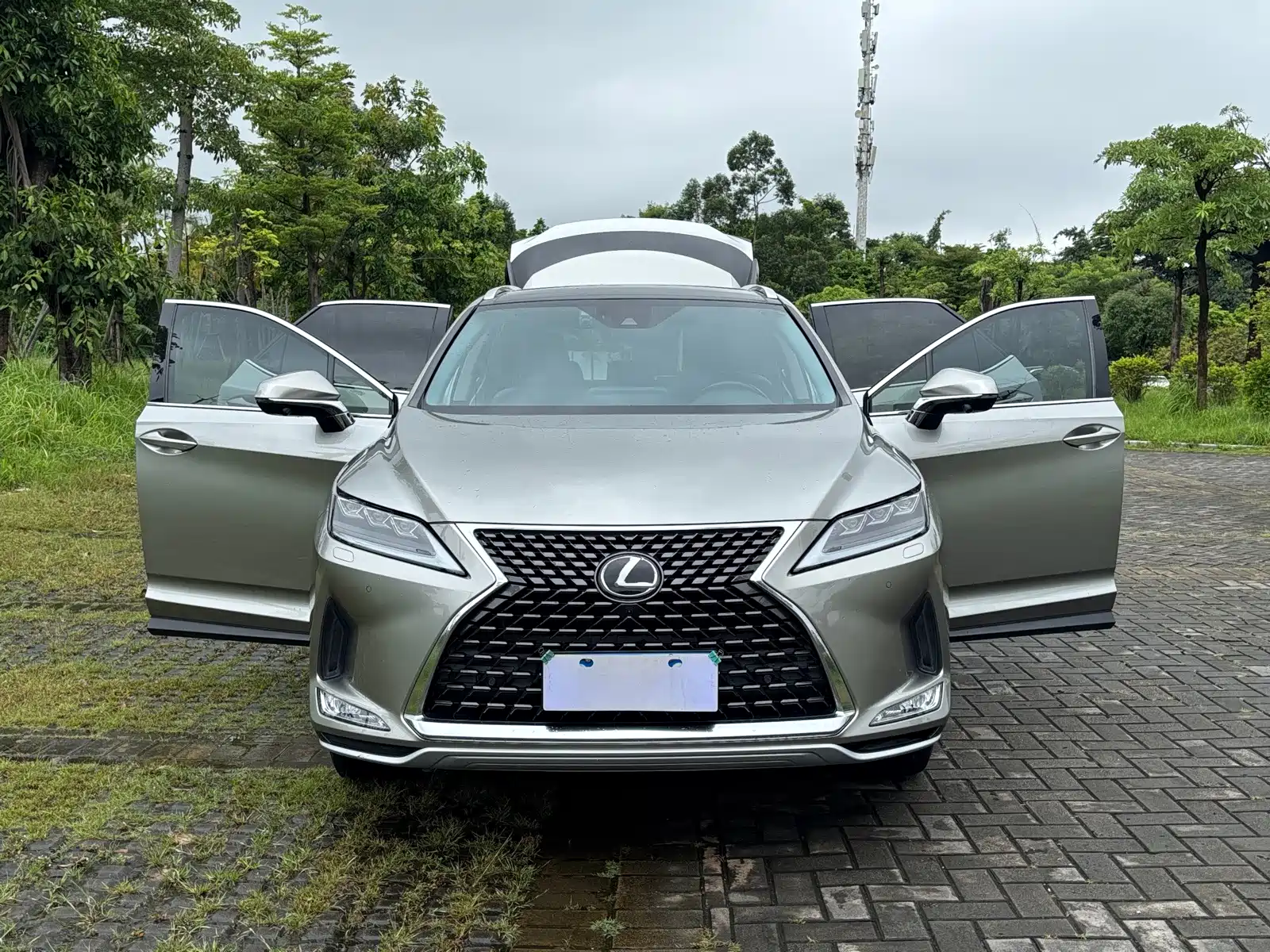 Фото 16 - Lexus RX