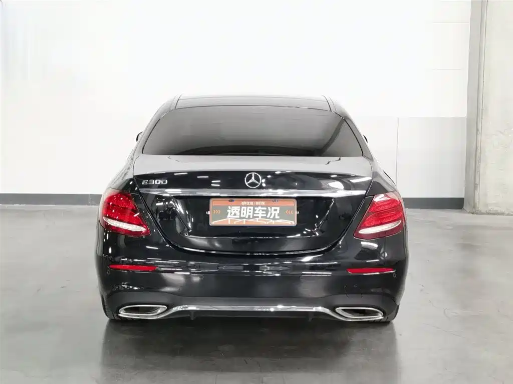 Mercedes-Benz E-Class 2020 E 300 L Sport Luxury Model фото 4