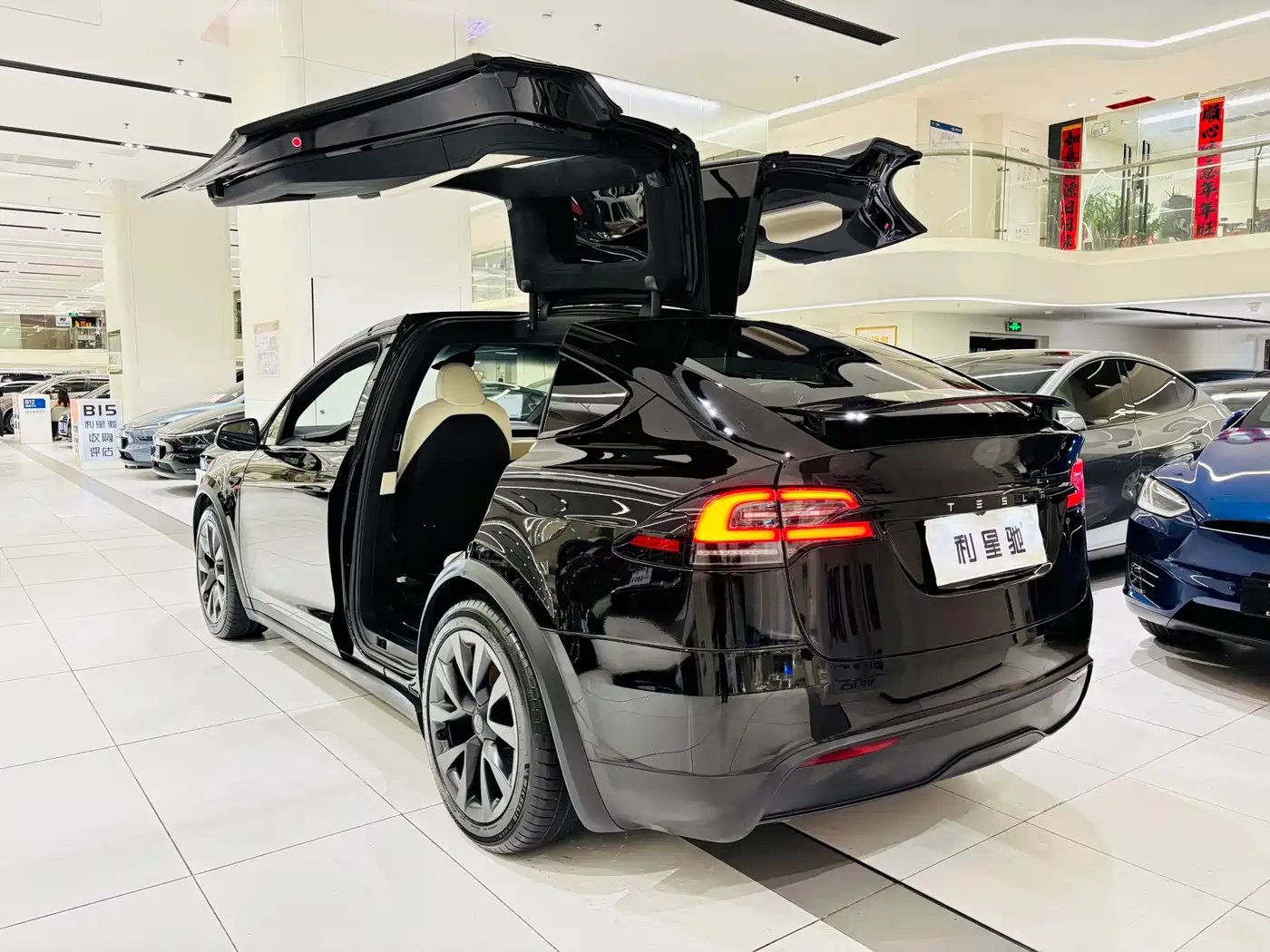 TESLA MODEL X